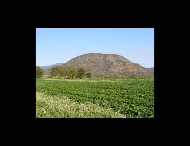 200HA FARM FOR SALE IN MUDEN